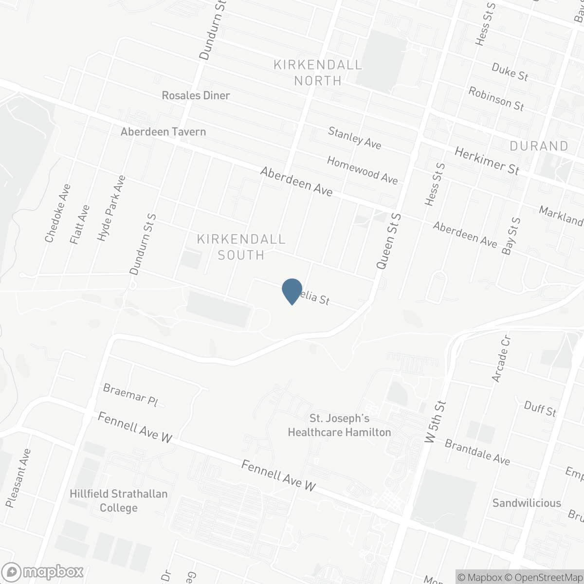 79 AMELIA STREET, Hamilton, Ontario L8P 2V3